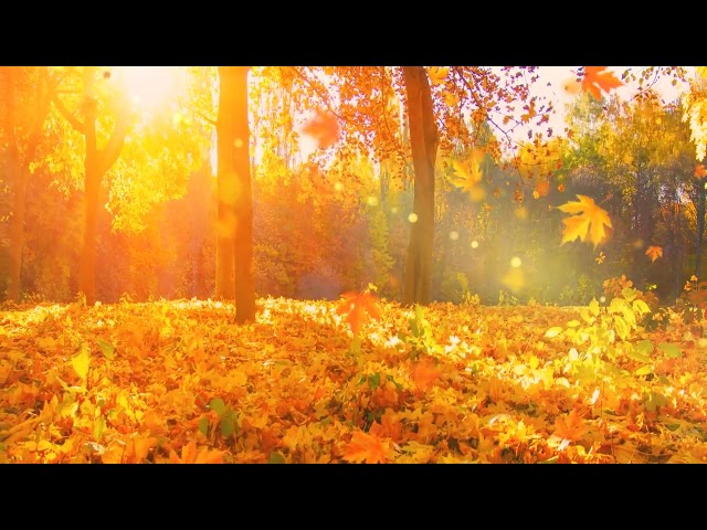 wallpaper engine Autumn Leaves Sunshine Golden Woods Autumn cottage provence - Caty BlackRose