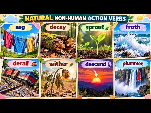 Action Verbs for Things That Happen Naturally | Visual English Vocabulary