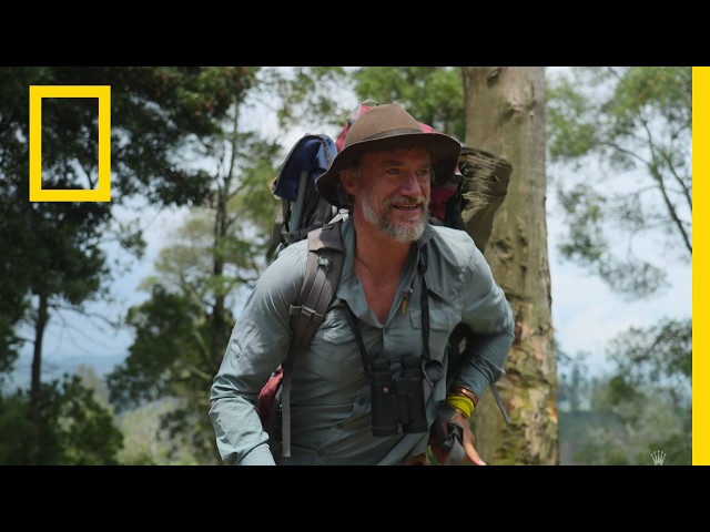 Steve Boyes's Journey | Africa Earth's Wild Home | National Geographic