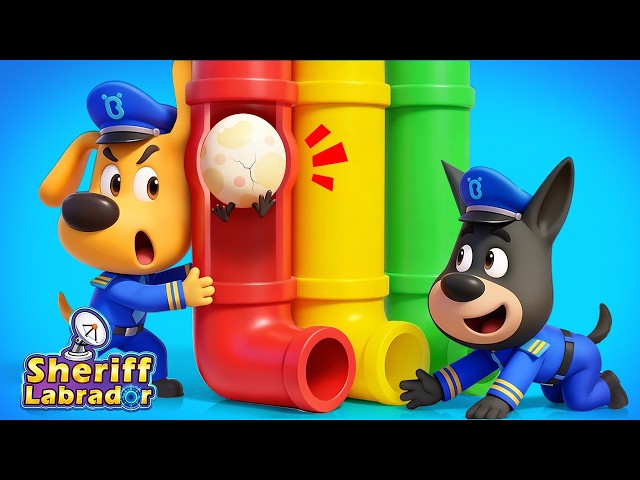 Where's the Egg? | Safety Rules for Kids | Educational Cartoon | Sheriff Labrador