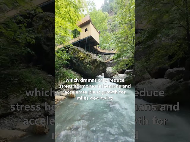 A Minute of Science - Waterfalls - Wondrous and Wild Facts #science #waterfalls #aminuteofscience