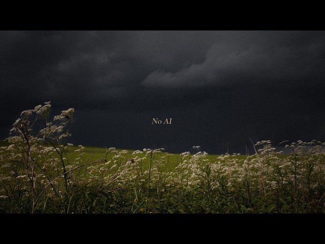 Sunny Meadow Thunderstorm | Silent Field Area | Calm before the Storm | NO AI