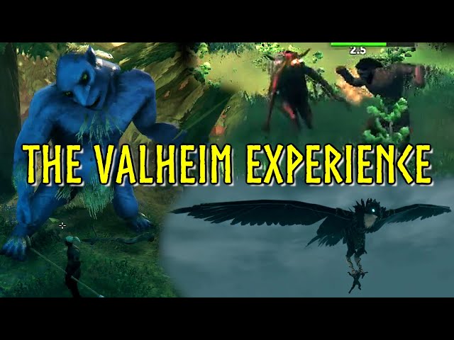 The Valheim Experience