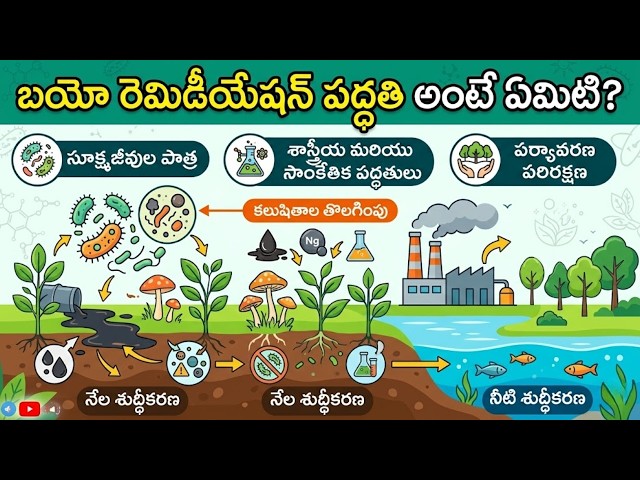 APPSC: CLASS-16- SCIENCE AND TECHNOLOGY AND ENVIRONMENT ISSUES || NAGARAJ SIR