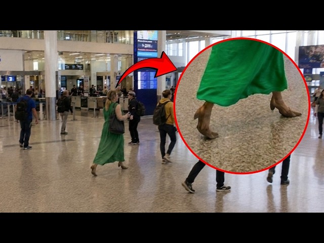 Caught on Camera: Videos That Left Everyone Asking Questions