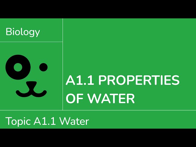 A1.1 Properties of Water [IB Biology SL/HL]
