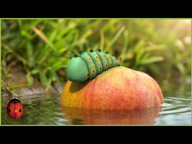 Love Apple | Minuscule | 40' Compilation