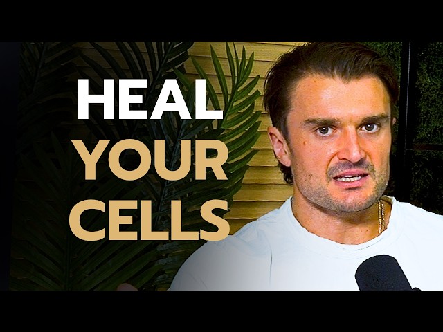 What Is Cellular Health? How to Heal Your Cells Without Buying Another Supplement