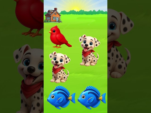 Match The Pair Animal Puzzle! 🐶🐟 Can You Solve It? #shorts
