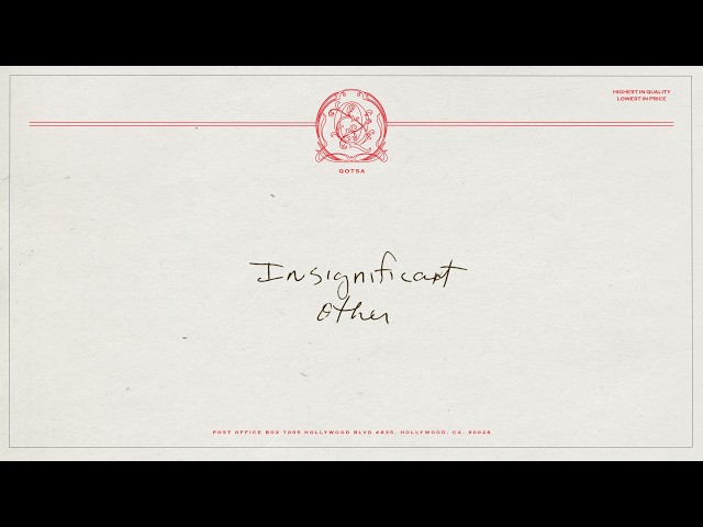 Queens of the Stone Age - Insignificant Other (Lyric Video)
