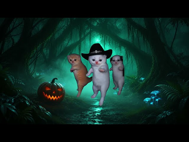 LA CALABAZA - TINIEBLA Edit - Pumpky (Viral Dancing Cats Visualiser)