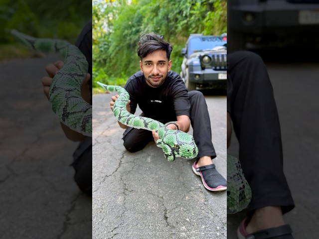 Chuto Snake Vs Big Rc Anaconda Snake Unboxing😱| Snake Video