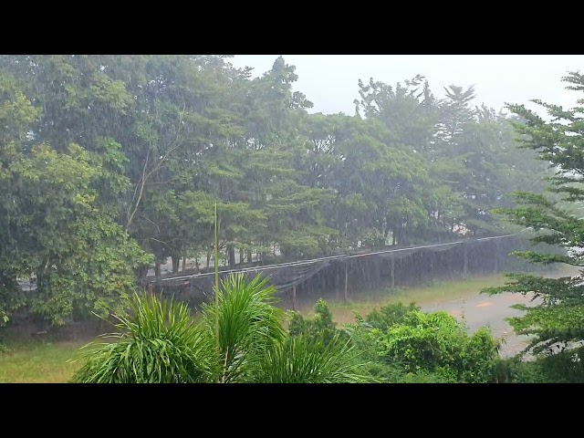 Relaxing Kampo_Beautiful Rain And Rain Sound For Better Sleep And Meditation In The Countryside