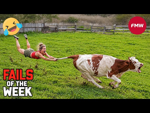 Try Not To Laugh 🤣 Top 100 Funniest Videos 2026 🎬🔥 Best Memes, Epic Fails & Pranks Compilation #264