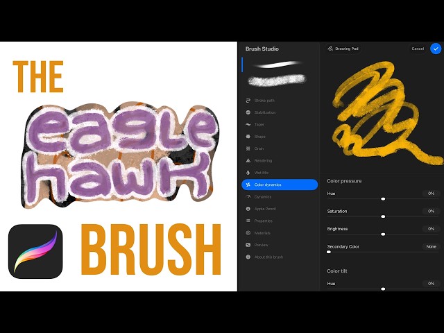 EAGLEHAWK: Procreate Brush Analysis