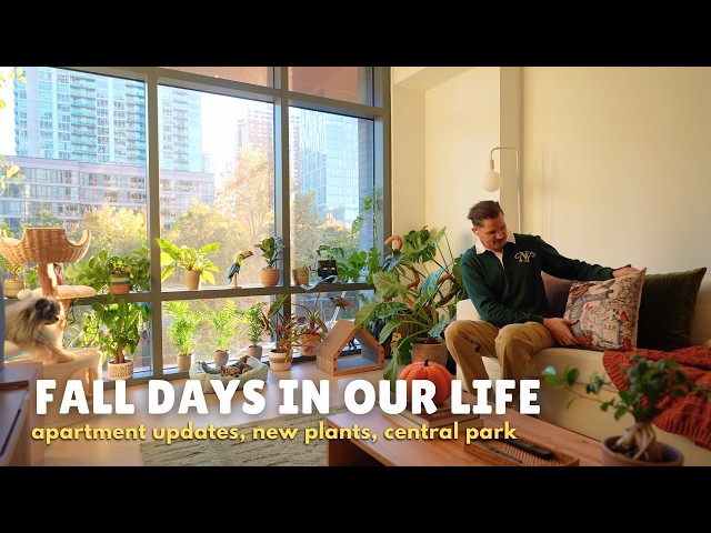 fall days in our life 🍂 central park, nyc & apartment updates