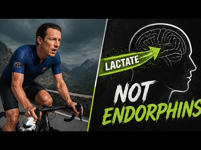 Why Your Brain Needs Exercise More Than You Think