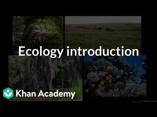 Ecology introduction | Grade 12 | Biology | NCERT | Khan Academy (IN accent)
