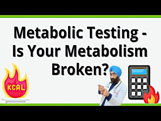 How do we test your Metabolism | Metabolic panel tests | Dr.Education