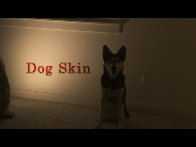 DOG SKIN: Horror short Film