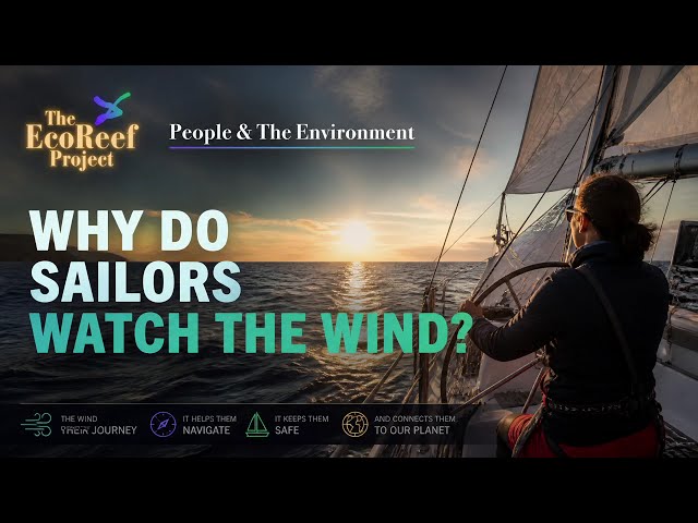 Why Wind is the Ultimate Sailor’s Secret
