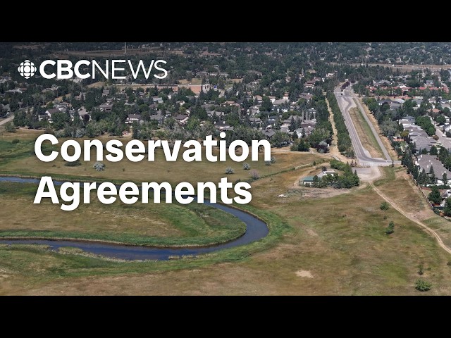 What power do conservation easements have to protect natural spaces in Sask.?