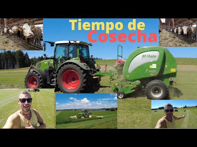 Cosecha en el sur de Alemania, trabajo en una granja en verano