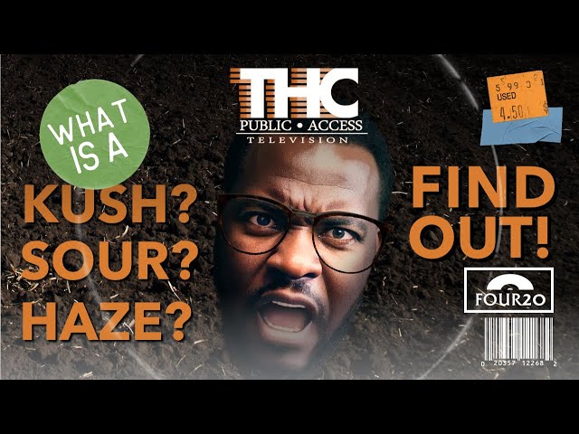The Ultimate Guide to Cannabis Varieties and Strains: Kush, Haze, Skunk and More! | FOUR20