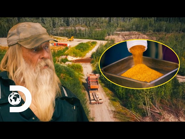 Tony Beets Hits A £2.5 Million Gold Week | Gold Rush