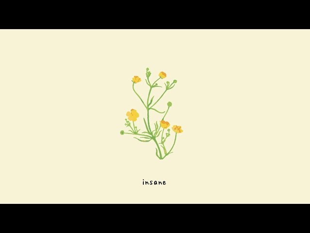 gnash - insane (lyric video)