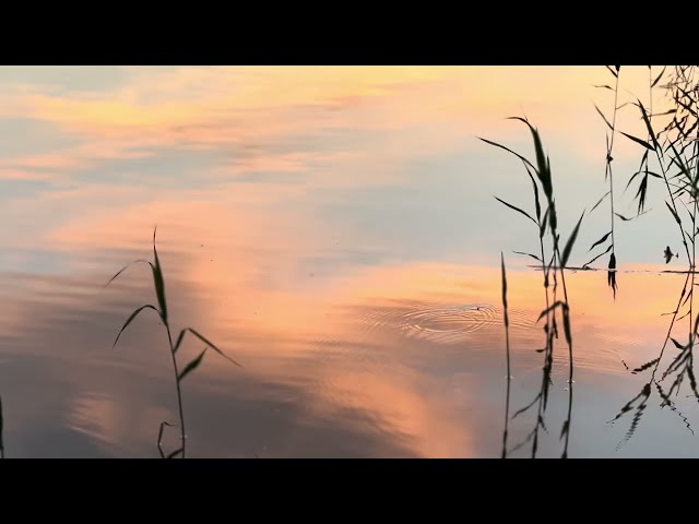 4K Sunset Timelapse Footage — Stray Cat's Sky CC BY, No Audio, No Filter Vol 15