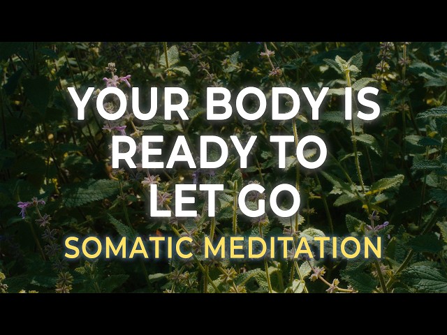 Releasing What the Body Has Been Holding | Somatic Meditation for Fascia & Emotional Release