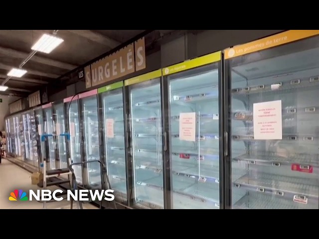 Massive cyberattack targets refrigerators in supermarkets across France