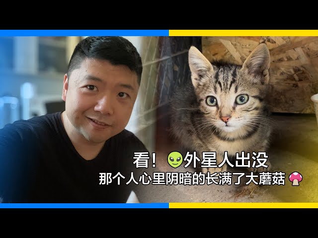 5月24日 看！👽 外星人出没，那个人心里阴暗的长满了大蘑菇 🍄