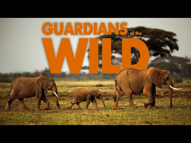 HEROES of Conservation | Full Documentary