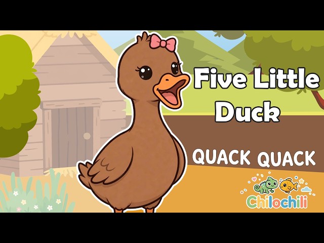 Five Little Duck ! Learning English | Kids Song | Chilo Chili