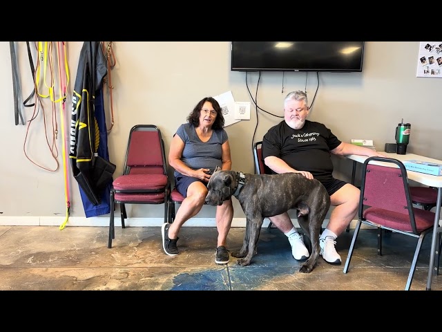 Bulletproof Dog Training Board & Train Testimonial