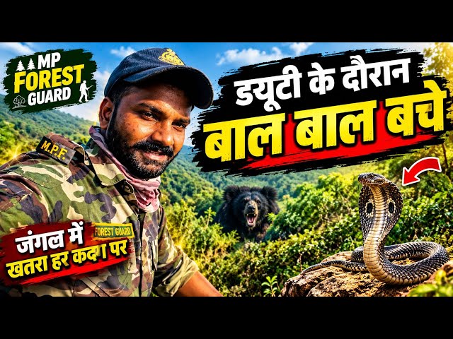 The Real Life of a Forest Guard 🌳 What Is Duty Like in the Jungle? | Forest Guard Vlog