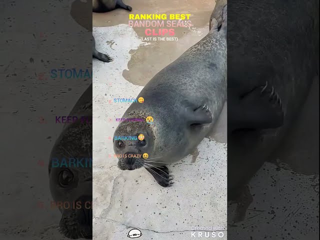 #SEAL