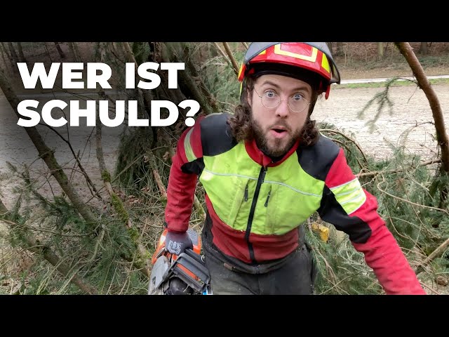 Bin im Wald vom Baum gestürzt: Forstarbeiten und Sturmschäden sind lebensgefährlich