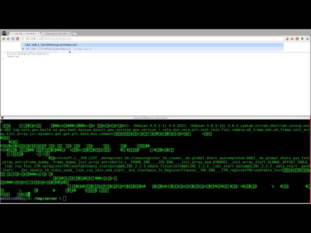 Server Side Script Setup - CGI Webserver with Python - Linux Tutorials