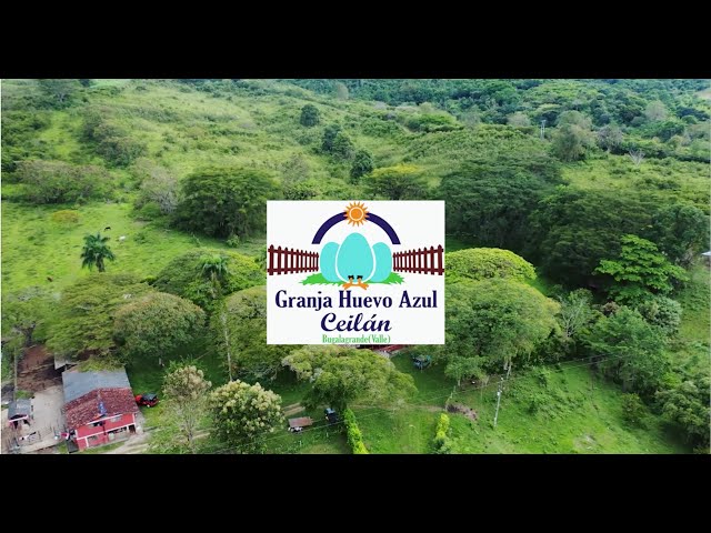 GRANJA HUEVO AZUL // Fondo Emprender