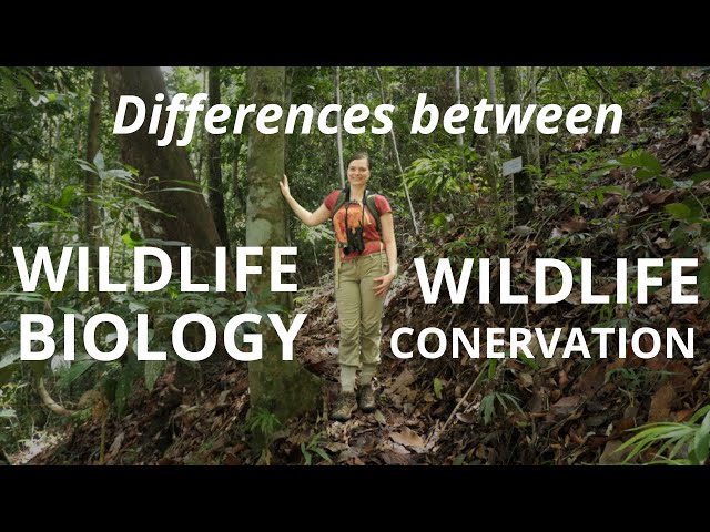 Wildlife Biology and Conservation Differences