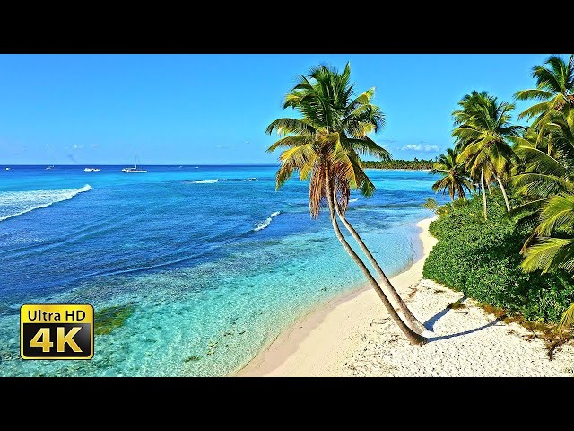 Ocean in 8k Ultra HD | Capital Of Earth (60FPS) | Unbelievable Beauty