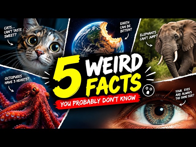 🎯 5 Facts That Sound Fake… But Are Actually TRUE! 🤯
