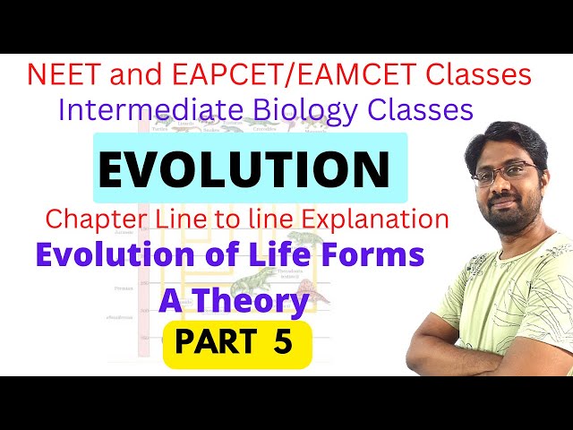 Evolution of Life Forms-A Theory || Evolution Chapter 12 th Biology || PART 5