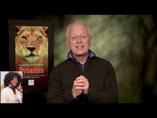 BBC Natural History Unit Dynasties