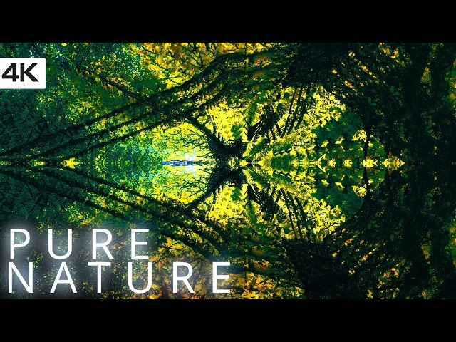Floating Through Tree Dimensions |1h+ Trippy Nature Visuals 4K
