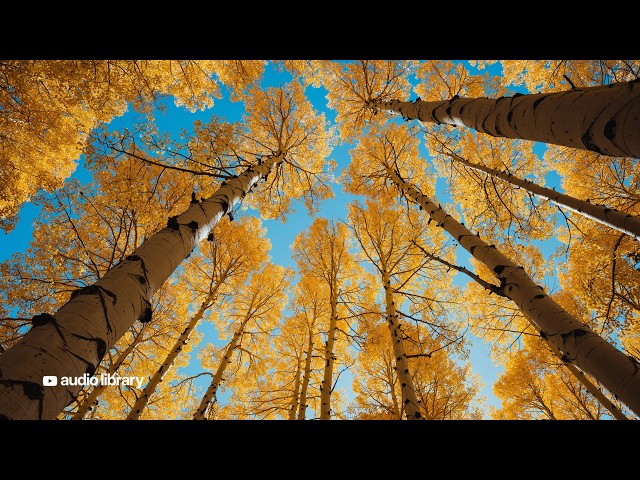 Chill Electronic Music for Vlogs, Tech Reviews & Study Sessions 🌊 (No Copyright) | Riyhsal - Cyan