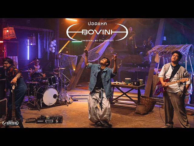 ปอดแหก - BOVINI (genie Verse Vol.2)「Official MV」